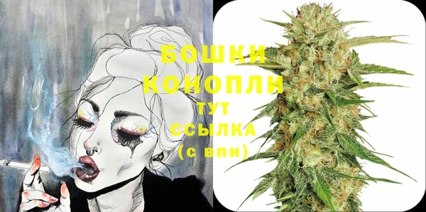 ПСИЛОЦИБИНОВЫЕ ГРИБЫ Вязьма