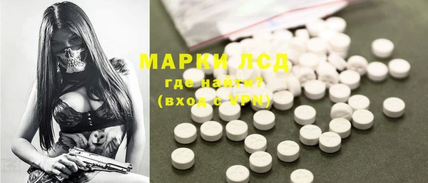 ПСИЛОЦИБИНОВЫЕ ГРИБЫ Вязьма